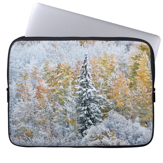 Fall Colours of Aspens & Snow Keebler Pass Laptop Sleeve (Front)