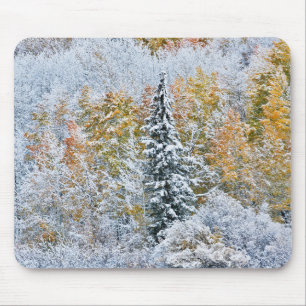 Fall Colours of Aspens & Snow Keebler Pass Mouse Mat