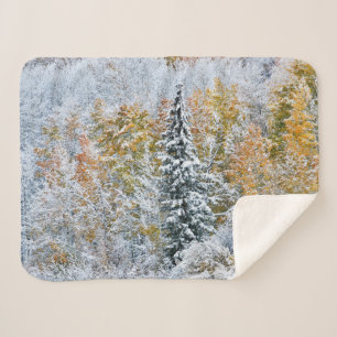 Fall Colours of Aspens & Snow Keebler Pass Sherpa Blanket