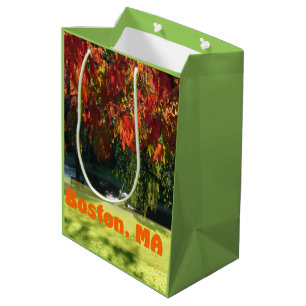 Fall Colours of Boston, MA 038 Medium Gift Bag