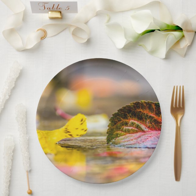 Fall colours paper plate (Wedding)