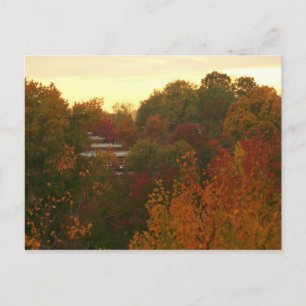 Fall Colours Postcard