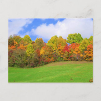 fall colours postcard