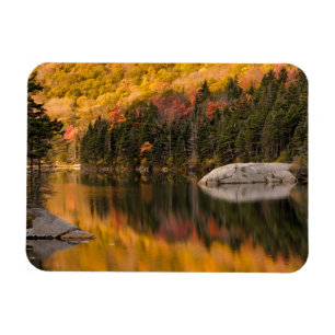 Fall Colours Reflected on Beaver Pond Magnet