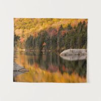 Fall Colours Reflected on Beaver Pond