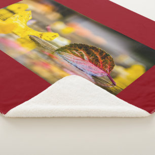 Fall colours sherpa blanket
