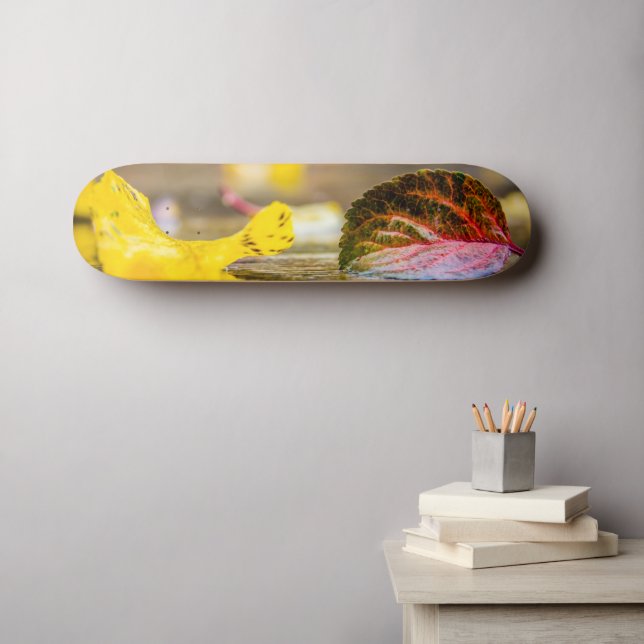 Fall colours skateboard (Wall Art (Horz))