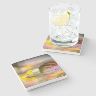 Fall colours stone coaster