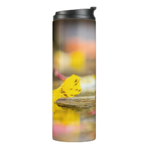 Fall colours thermal tumbler