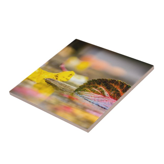 Fall colours tile (Side)