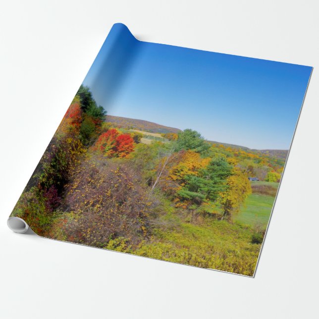 Fall Colours wrapping paper (Unrolled)