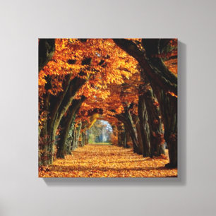 Fall Country Road Canvas Print