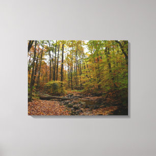 Fall Creek at Laurel Hill State Park Pennsylvania Canvas Print