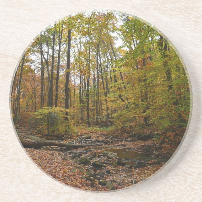 Fall Creek at Laurel Hill State Park Pennsylvania Coaster (Front)