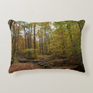 Fall Creek at Laurel Hill State Park Pennsylvania Decorative Cushion