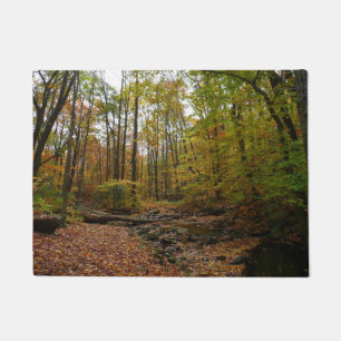Fall Creek at Laurel Hill State Park Pennsylvania Doormat