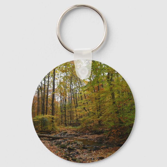 Fall Creek at Laurel Hill State Park Pennsylvania Key Ring (Front)