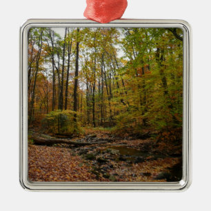 Fall Creek at Laurel Hill State Park Pennsylvania Metal Tree Decoration