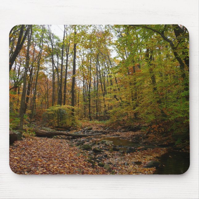 Fall Creek at Laurel Hill State Park Pennsylvania Mouse Mat (Front)