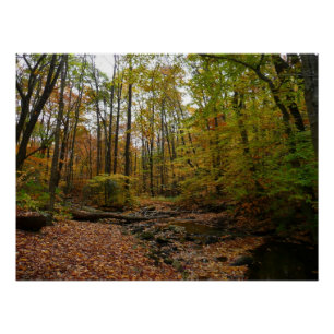 Fall Creek at Laurel Hill State Park Pennsylvania Poster