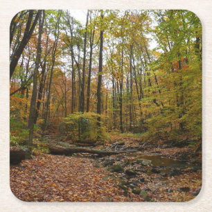 Fall Creek at Laurel Hill State Park Pennsylvania Square Paper Coaster