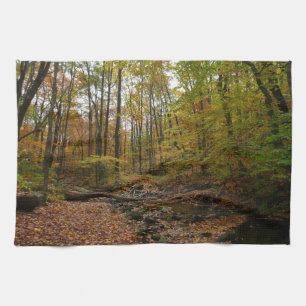 Fall Creek at Laurel Hill State Park Pennsylvania Tea Towel