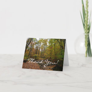Fall Creek at Laurel Hill State Park Pennsylvania Thank You Card