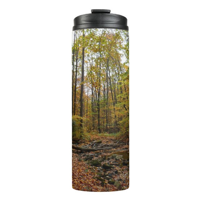 Fall Creek at Laurel Hill State Park Pennsylvania Thermal Tumbler (Front)