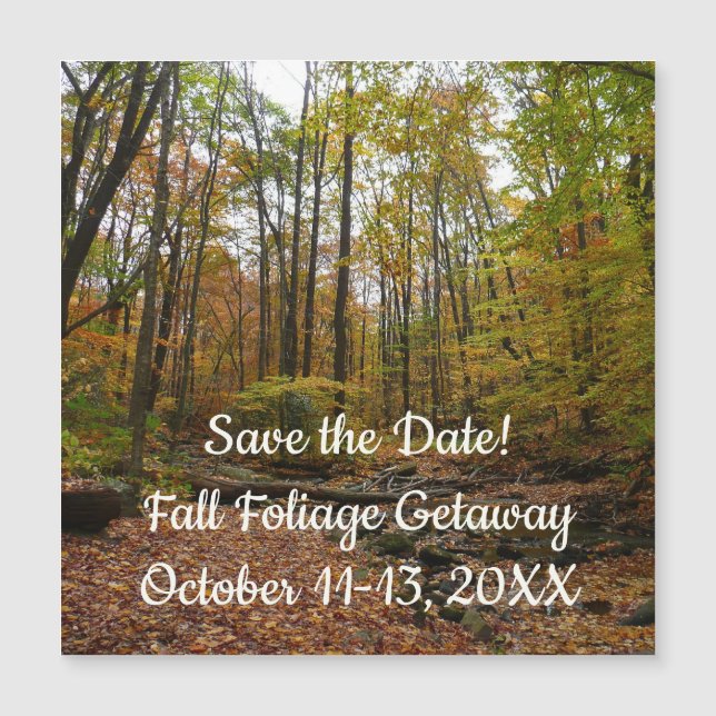Fall Creek at Laurel Hill State Park Save the Date (Front)