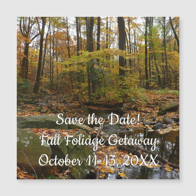 Fall Creek with Reflection at Laurel Hill Park (Front)