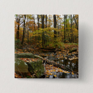 Fall Creek with Reflection at Laurel Hill Park 15 Cm Square Badge
