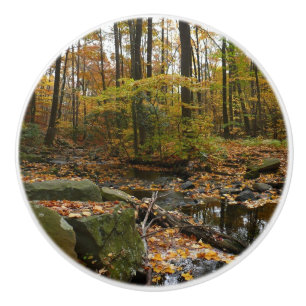 Fall Creek with Reflection at Laurel Hill Park Ceramic Knob