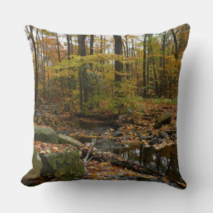 Fall Creek with Reflection at Laurel Hill Park Cushion