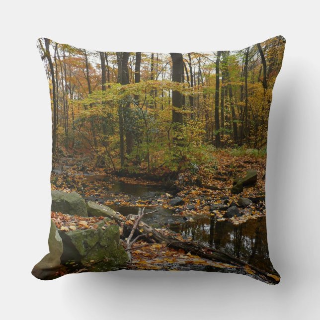Fall Creek with Reflection at Laurel Hill Park Cushion (Front)