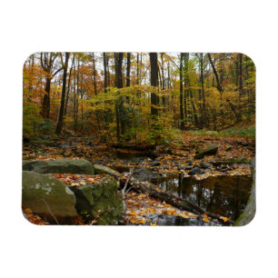 Fall Creek with Reflection at Laurel Hill Park Magnet