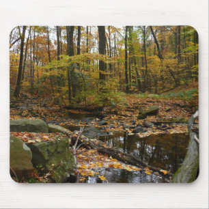 Fall Creek with Reflection at Laurel Hill Park Mouse Mat