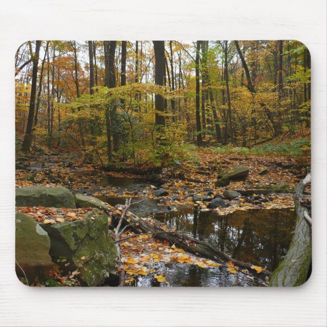 Fall Creek with Reflection at Laurel Hill Park Mouse Mat (Front)