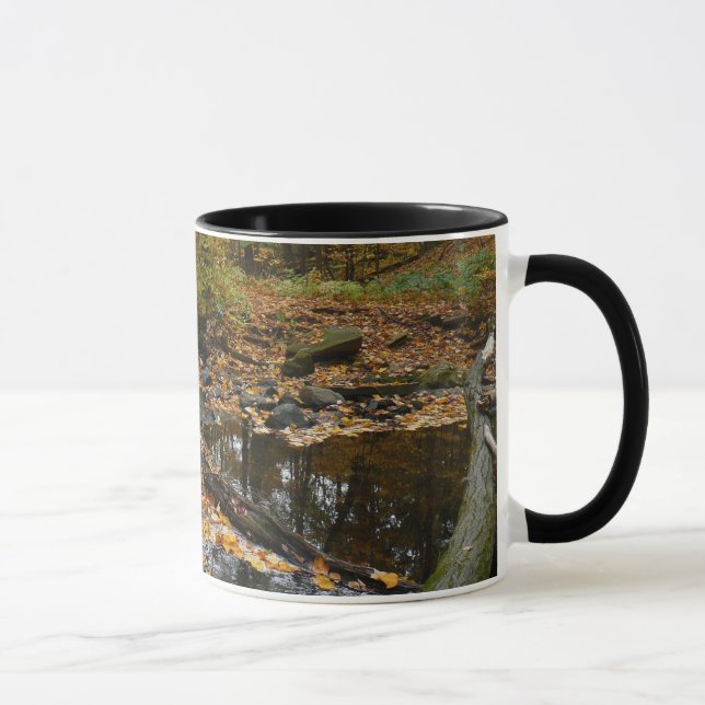 Fall Creek with Reflection at Laurel Hill Park Mug (Right)