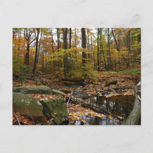 Fall Creek with Reflection at Laurel Hill Park Postcard (Front)