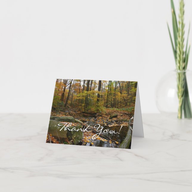 Fall Creek with Reflection at Laurel Hill Park Thank You Card (Front)