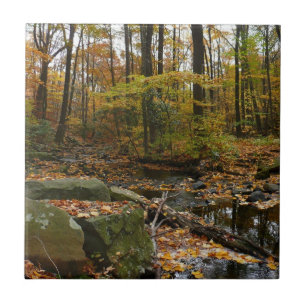 Fall Creek with Reflection at Laurel Hill Park Tile