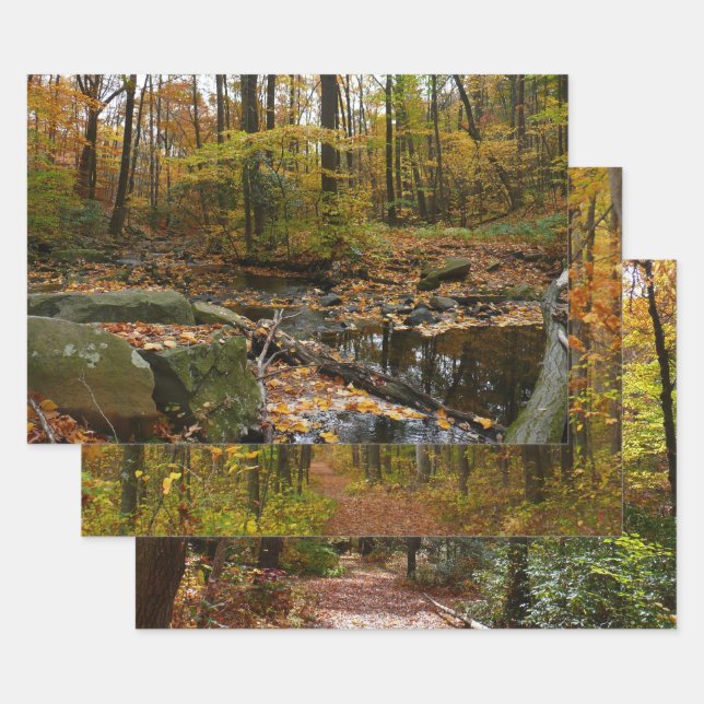 Fall Creek with Reflection at Laurel Hill Park Wrapping Paper Sheet (Set)