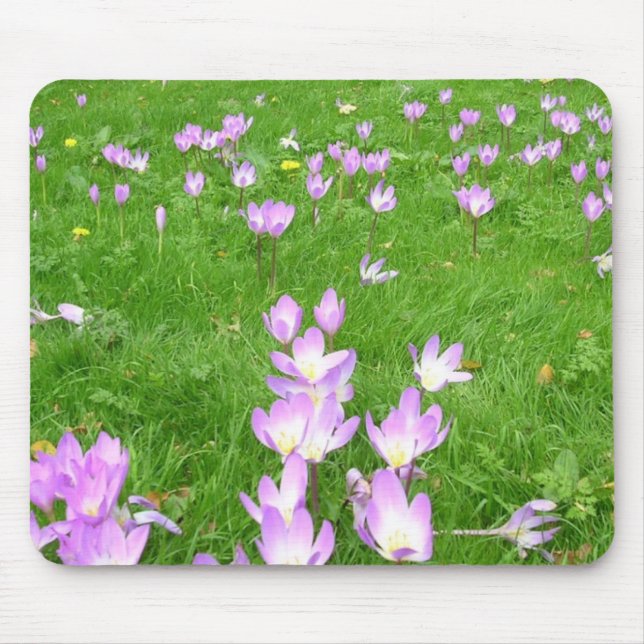 Fall Crocus in England Mouse Mat (Front)