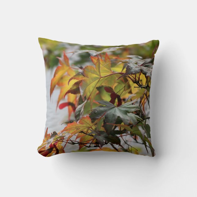 Fall Cushion (Front)