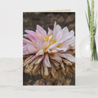 Fall Dahlia Blank Greeting Card