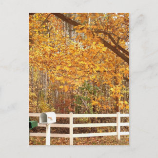 Fall Day postcard