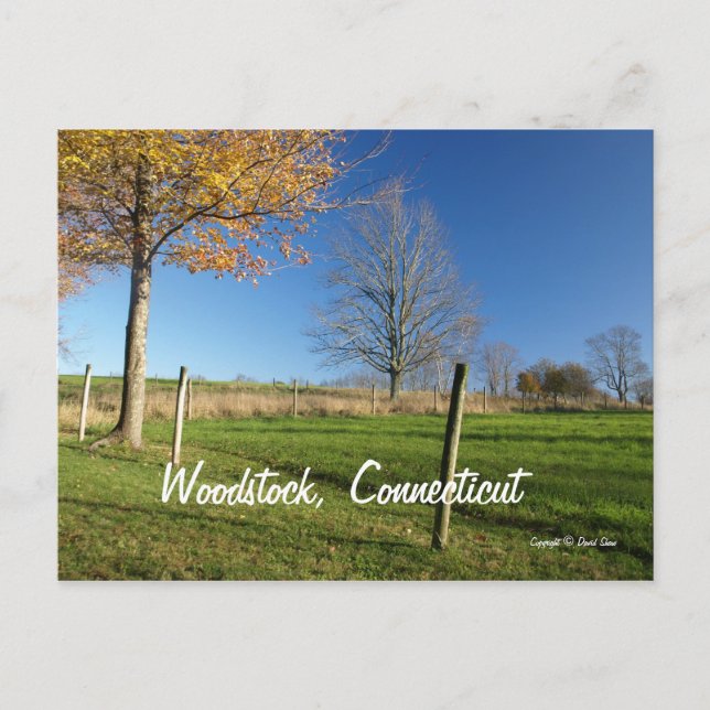 Fall Days Postcard (Front)