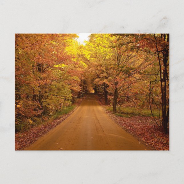 Fall Drive Colour Tour Postcard (Front)