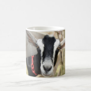 Fall Fair Billy Goat Coffee Mug