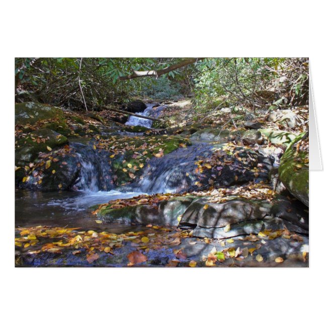 Fall Falls at Fires Creek (Front Horizontal)